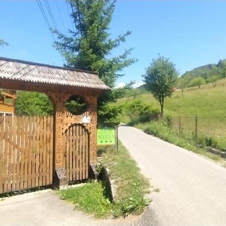 Pensiunea Simina Viseu de Jos Exterior foto